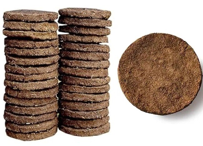 Cow Dung Cakes (Gomaya Cakes)