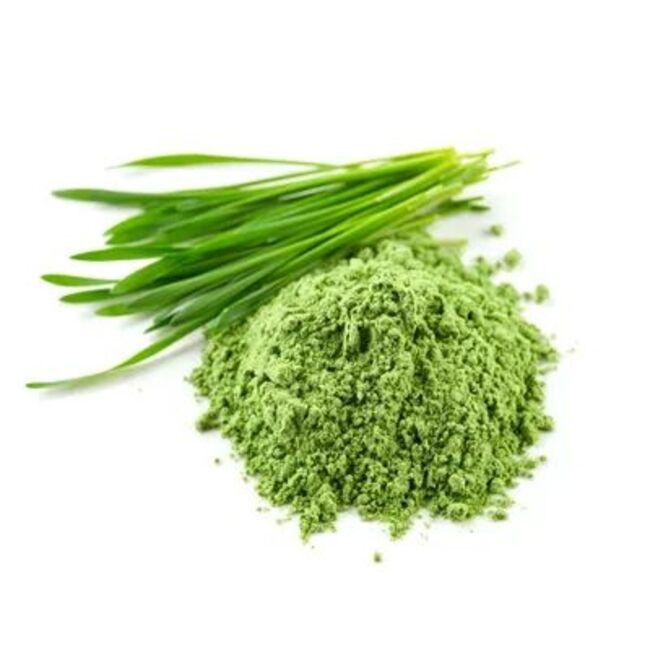 Wheatgrass Powder
