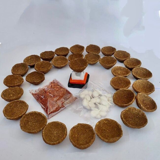 Cow Dung Dhoop / Agarbatti